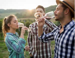 Fredericksburg Vintner Winery Tour & Italian Lunch